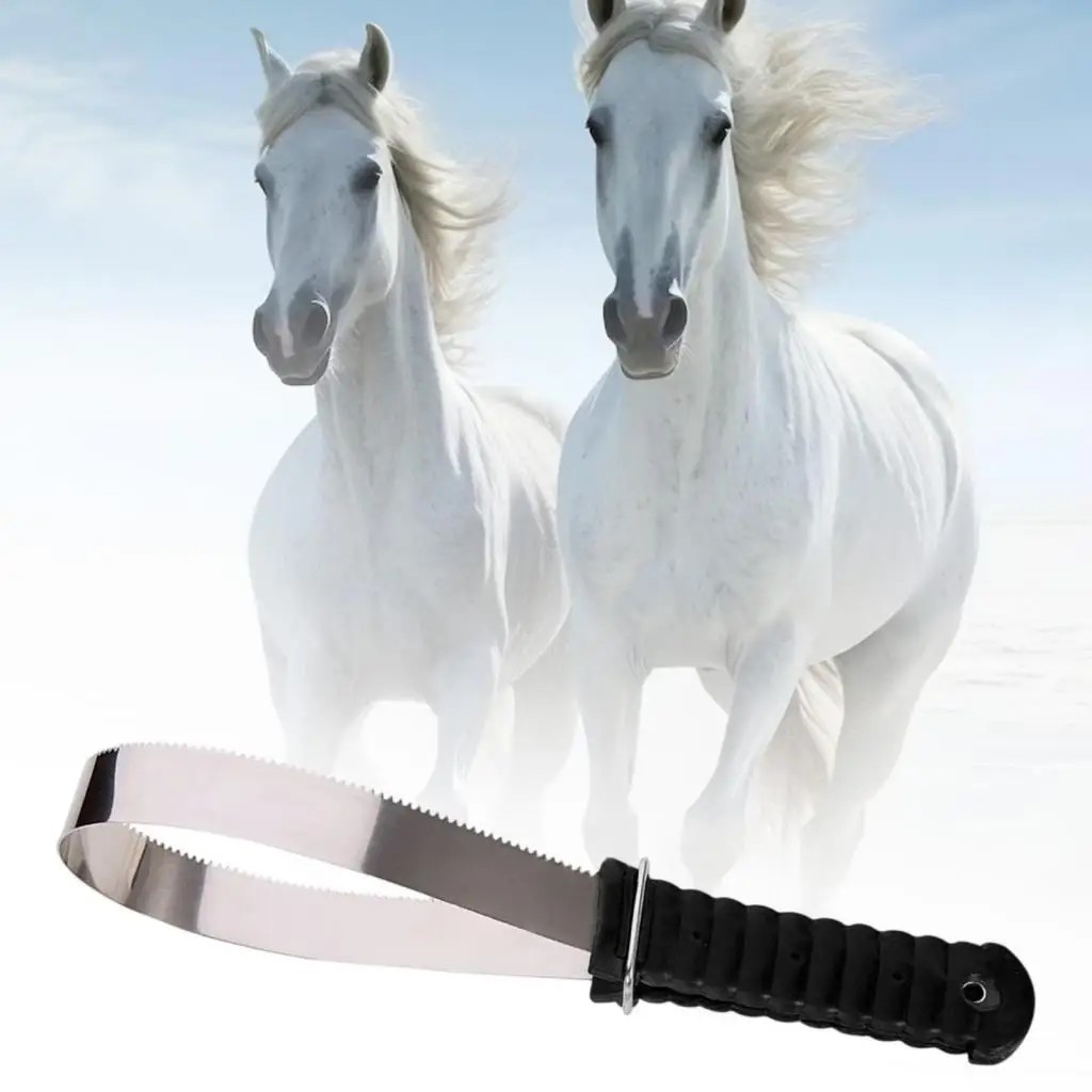  , Ŀ 귯 ޺, , mane  ..